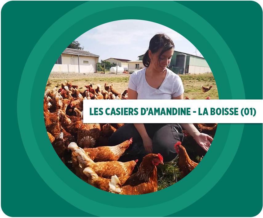 Image projet les Casiers d'Amandine à La Boisse (01)